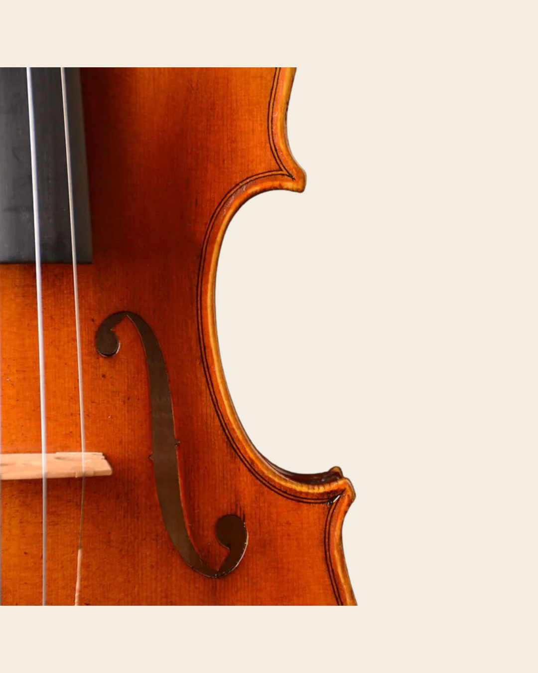 Violino Stradivari 1715 The Cremoneser